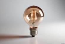 Satco S8511 60A19/F/20M Incandescent General Service Bulb